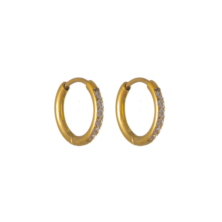 Gold Titanium Zirconia Earrings – Pavé (G23)