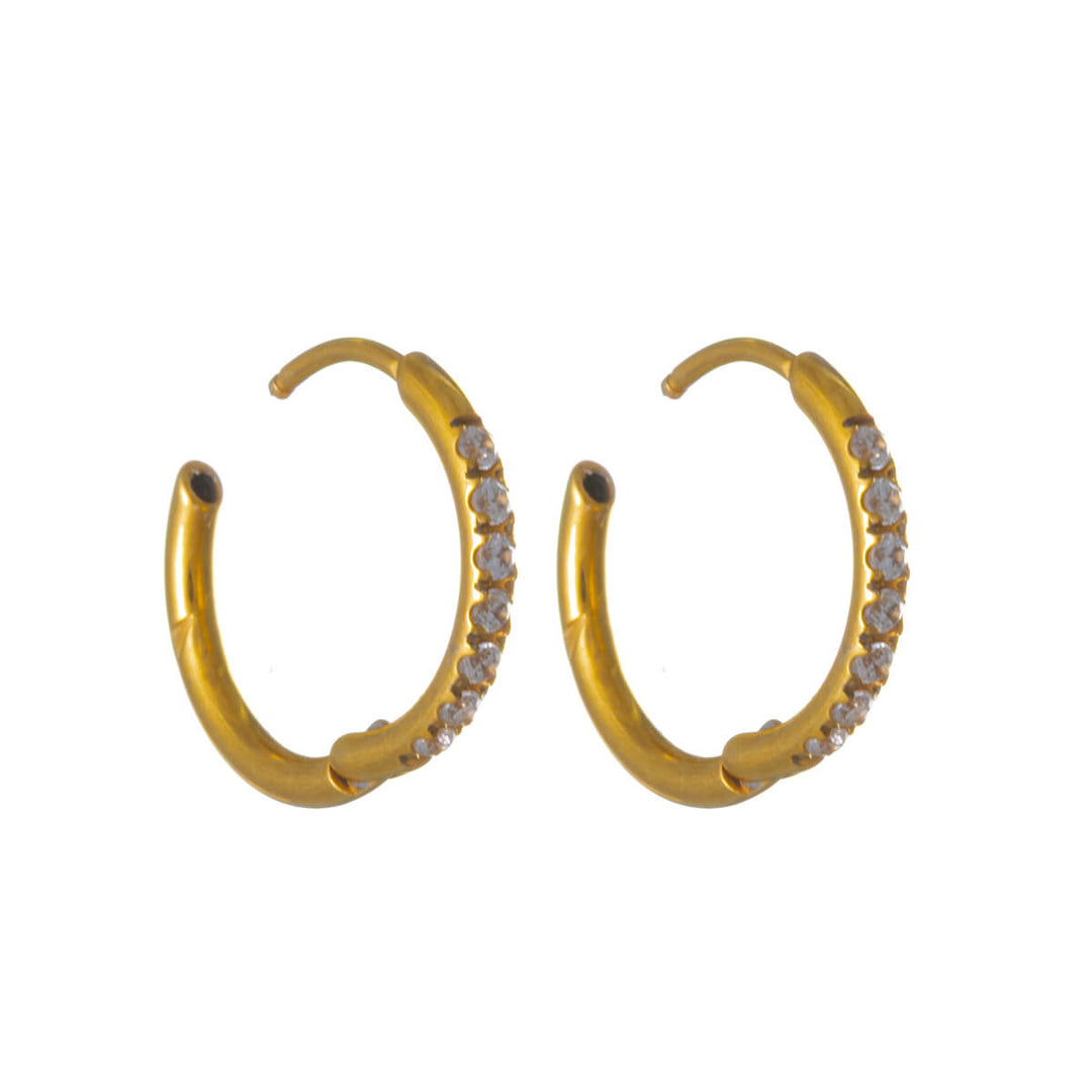 Gold Titanium Zirconia Earrings – Pavé (G23)