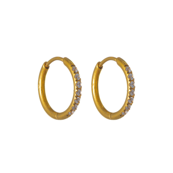 Gold Titanium Zirconia Earrings – Pavé (G23)