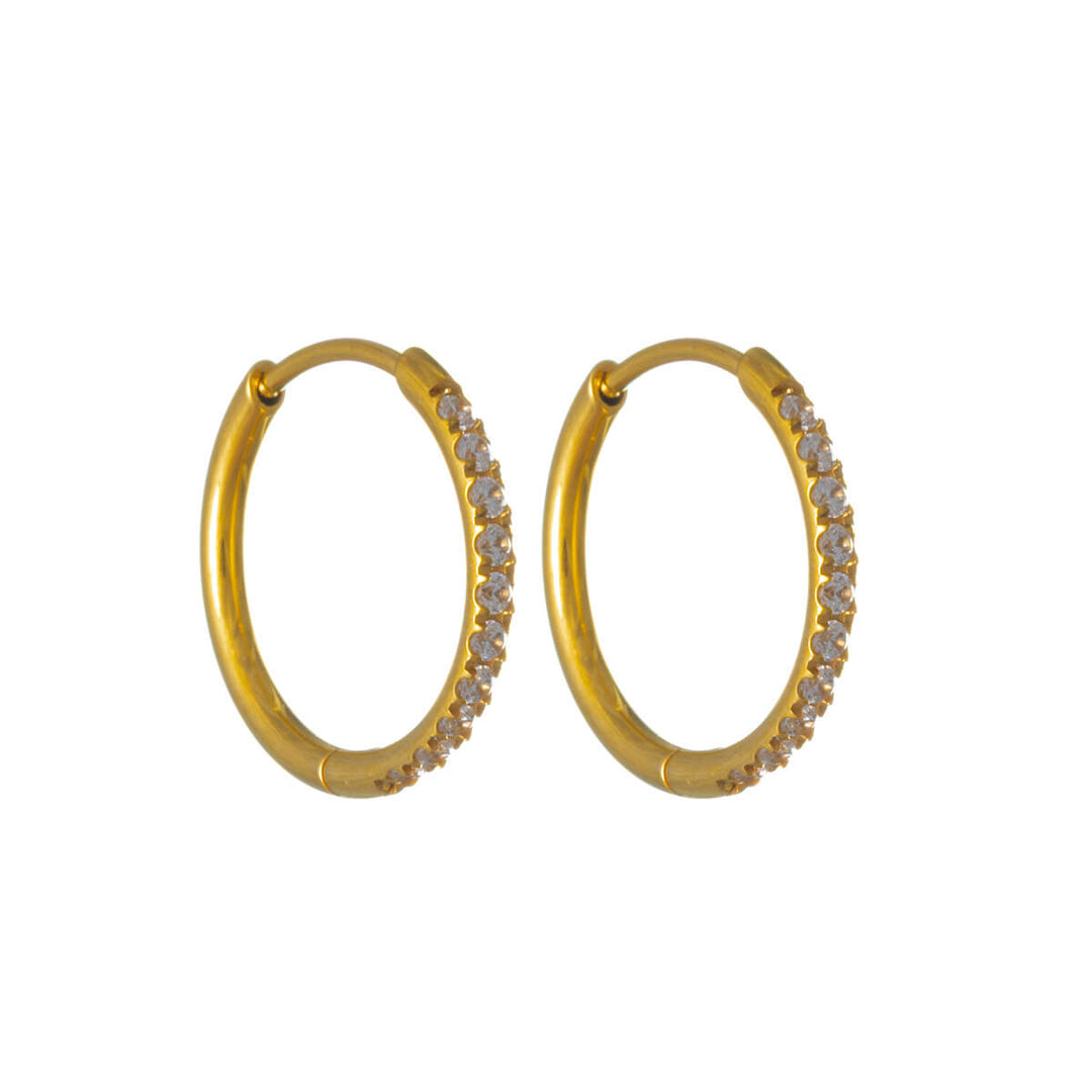 Gold Titanium Zirconia Earrings – Pavé (G23)