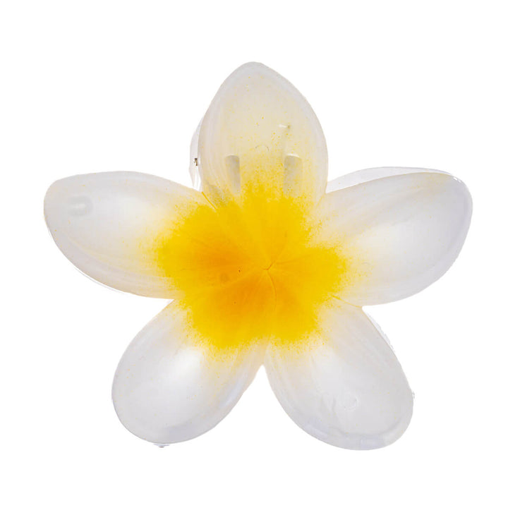 Kukka hiusklipsi plumeria hainhammas 8cm