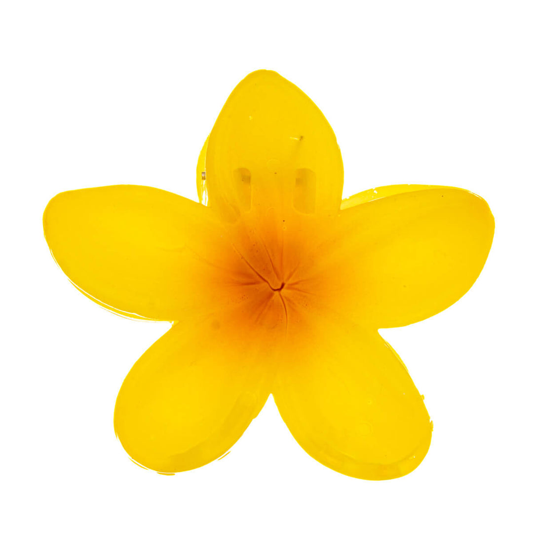 Kukka hiusklipsi plumeria hainhammas 8cm
