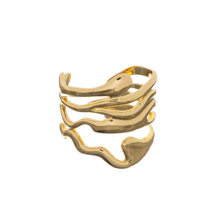 Gold adjustable ring (316L steel) 5-piece set