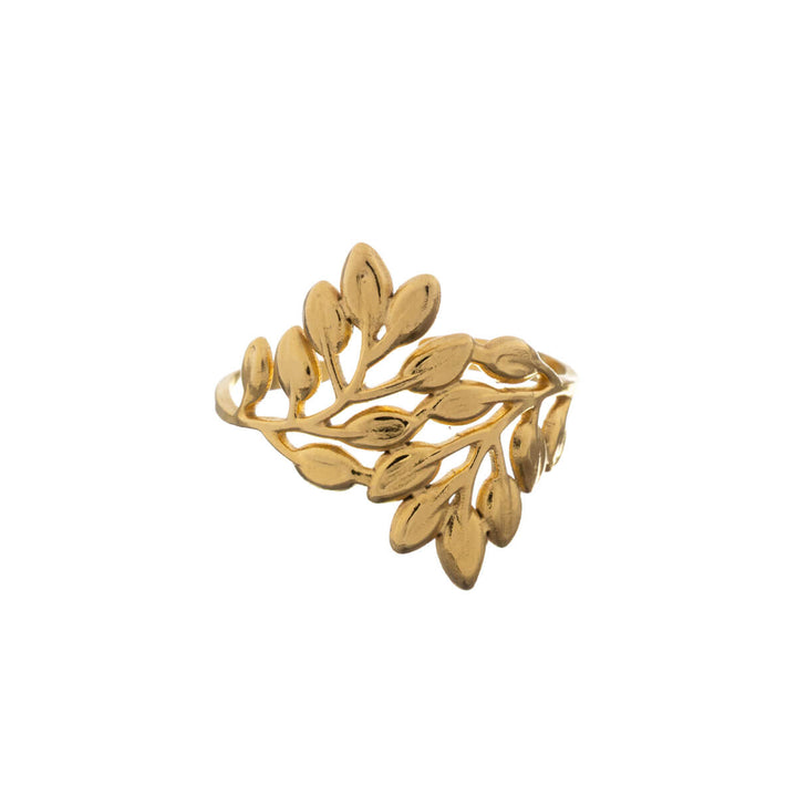 Gold adjustable ring (316L steel) 5-piece set