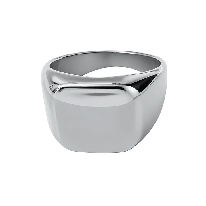 Polerad ring i stål (316L-stål)