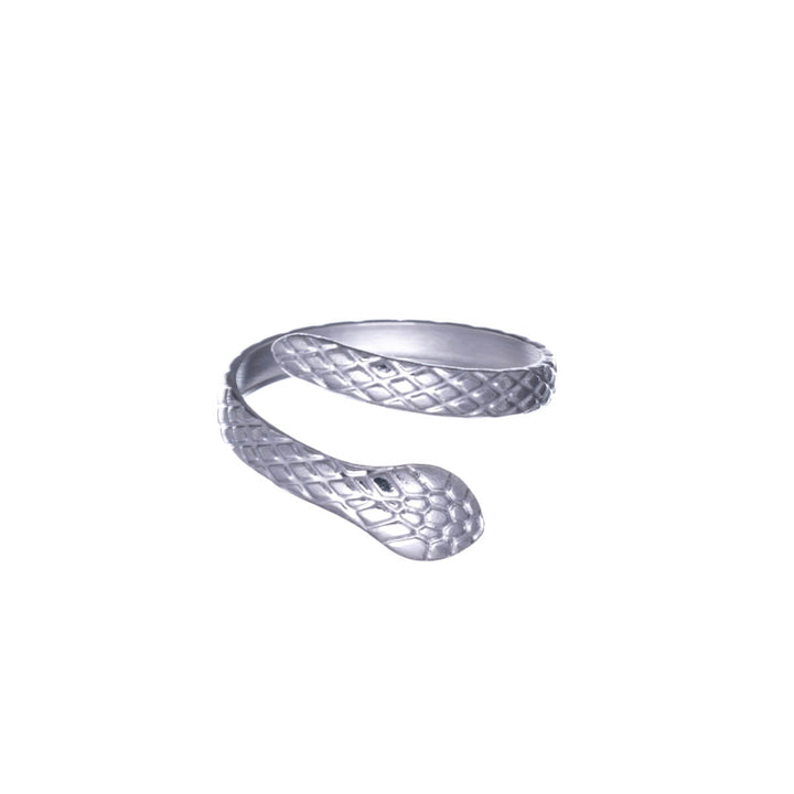 Snake ring enkel storlek stålring (Stål 316L)