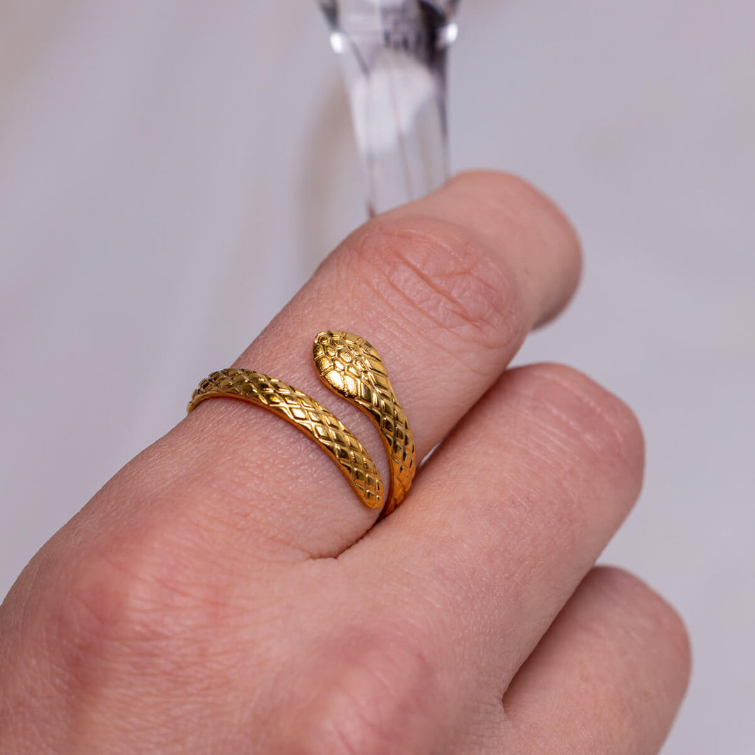 Snake ring enkel storlek stålring (Stål 316L)