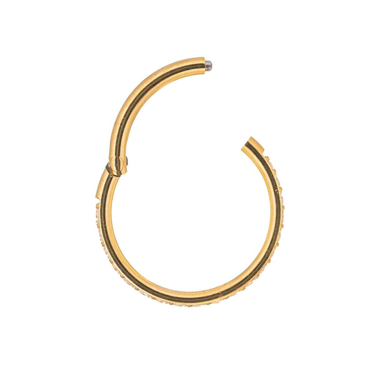 Guldpläterad gångjärnsförsedd segmentring klicker stenad 1,2 mm (stål 316L)